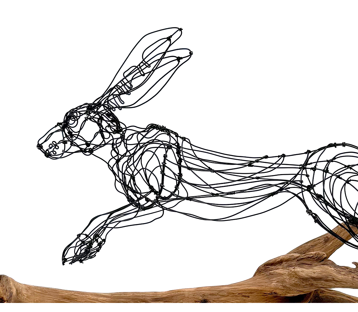 "Briars and Brambles" - Colleen Cotey